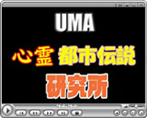 UMA S ss`uOd̑v\